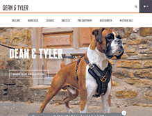 Tablet Screenshot of dtdogcollars.com